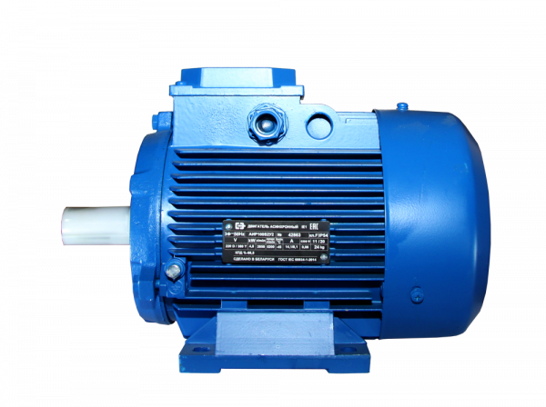 Двигатель АИР 100 S4 У2